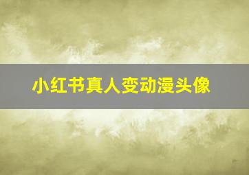 小红书真人变动漫头像