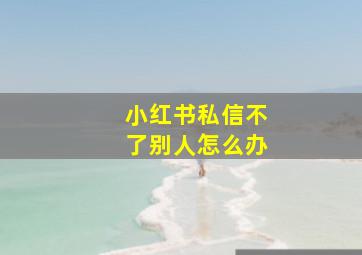 小红书私信不了别人怎么办