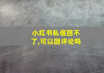 小红书私信回不了,可以回评论吗