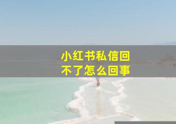 小红书私信回不了怎么回事