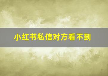 小红书私信对方看不到