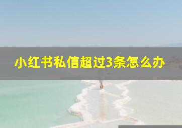 小红书私信超过3条怎么办