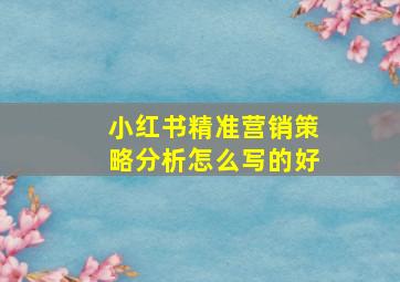 小红书精准营销策略分析怎么写的好