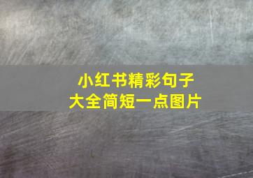 小红书精彩句子大全简短一点图片