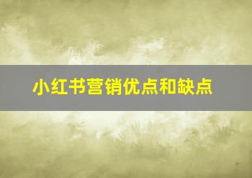 小红书营销优点和缺点