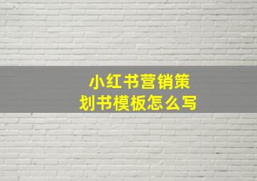 小红书营销策划书模板怎么写