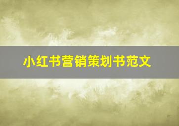 小红书营销策划书范文