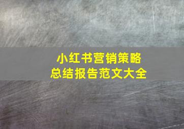 小红书营销策略总结报告范文大全