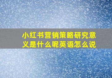 小红书营销策略研究意义是什么呢英语怎么说