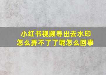 小红书视频导出去水印怎么弄不了了呢怎么回事