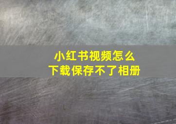 小红书视频怎么下载保存不了相册