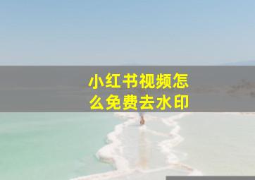 小红书视频怎么免费去水印