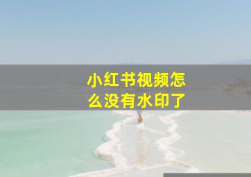 小红书视频怎么没有水印了