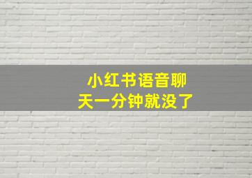 小红书语音聊天一分钟就没了