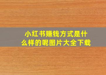 小红书赚钱方式是什么样的呢图片大全下载