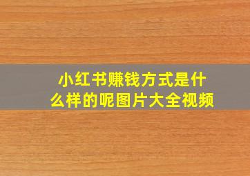 小红书赚钱方式是什么样的呢图片大全视频