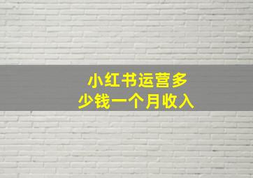 小红书运营多少钱一个月收入