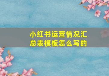 小红书运营情况汇总表模板怎么写的