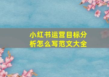 小红书运营目标分析怎么写范文大全