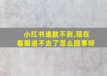 小红书退款不到,现在客服进不去了怎么回事呀