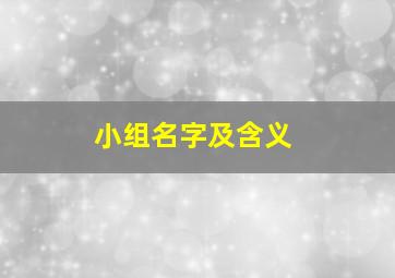 小组名字及含义