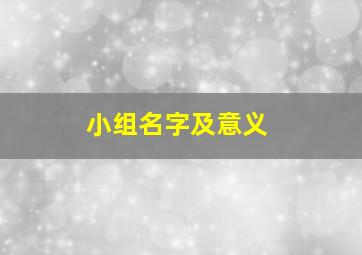 小组名字及意义