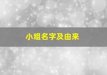 小组名字及由来