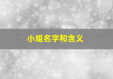 小组名字和含义