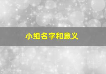 小组名字和意义