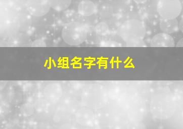 小组名字有什么