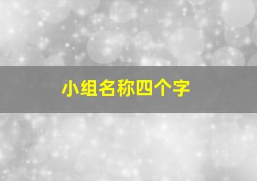 小组名称四个字