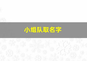 小组队取名字