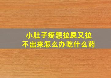 小肚子疼想拉屎又拉不出来怎么办吃什么药