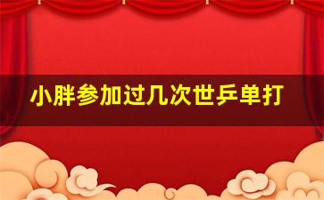 小胖参加过几次世乒单打