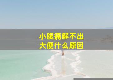 小腹痛解不出大便什么原因