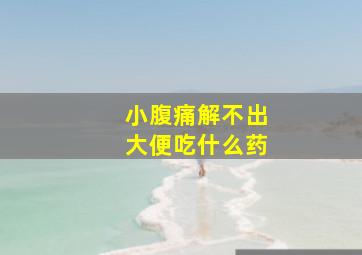 小腹痛解不出大便吃什么药