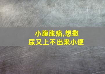 小腹胀痛,想撒尿又上不出来小便