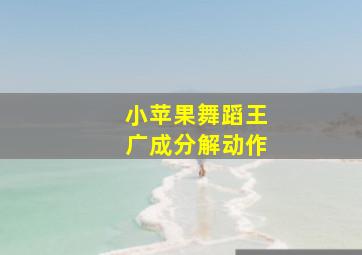 小苹果舞蹈王广成分解动作