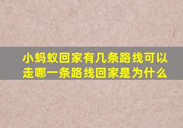 小蚂蚁回家有几条路线可以走哪一条路线回家是为什么