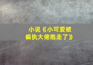 小说《小可爱被偏执大佬抱走了》