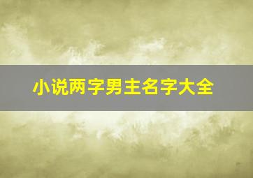 小说两字男主名字大全