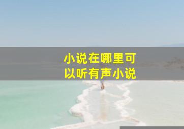 小说在哪里可以听有声小说