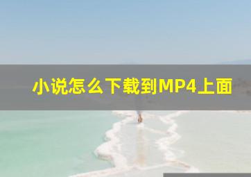 小说怎么下载到MP4上面