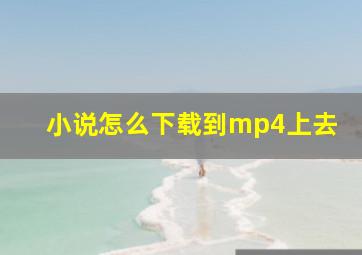 小说怎么下载到mp4上去