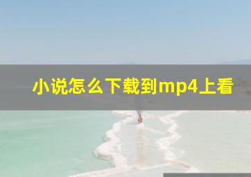 小说怎么下载到mp4上看