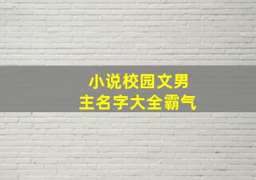 小说校园文男主名字大全霸气