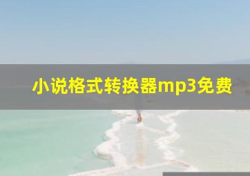 小说格式转换器mp3免费