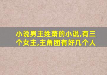 小说男主姓萧的小说,有三个女主,主角团有好几个人