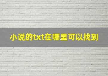 小说的txt在哪里可以找到