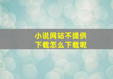 小说网站不提供下载怎么下载呢